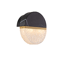 Настенный светильник Delight Collection MB25030008-1A brass/black
