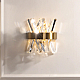Настенный светильник Delight Collection Akasha II 88021W brass