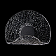 Настенный светодиодный светильник Crystal Lux Wave AP6W Led Transparent