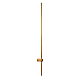 Настенный светодиодный светильник Loft IT Rays 10054GD