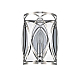 Настенный светильник Vele Luce Angela VL3153W01