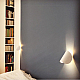 Настенный светильник Imperium Loft ORNES01 243423-26
