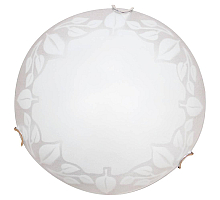Настенный светильник Arte Lamp Leaves A4020PL-1CC