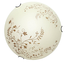 Настенный светильник Arte Lamp Ornament A4920PL-1CC