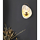 Настенный светильник Delight Collection Pearl 10265W/WH