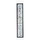 Настенный светильник Favourite Primum 4857-1W