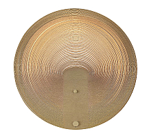 Настенный светильник ST Luce Fossil SL6900.501.16