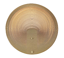 Настенный светильник ST Luce Fossil SL6900.501.16