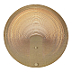Настенный светильник ST Luce SL6900.501.16