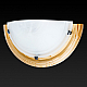 Настенный светильник Toplight Irma TL9070Y-01PN