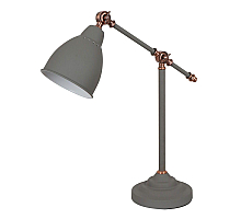 Настольная лампа Arte Lamp Braccio A2054LT-1GY