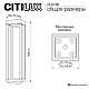 Уличный светильник Citilux Genox CLU13B