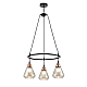 Подвесная люстра Vele Luce Norina VL5842P03