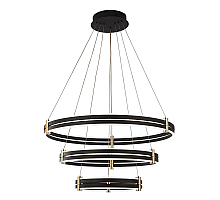 Подвесная люстра Zortes Duble-R ZRS.30515.228
