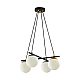 Подвесная люстра Lumion Moderni Randi 5212/4