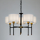 Подвесная люстра Arte Lamp Jamie A4090LM-5BK