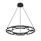 Люстра подвесная Lumion TORINA 8340/6