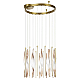 Подвесная люстра Odeon Light Spira L-Vision 5468/66L