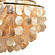 Люстра Lumion SHELLA 8386/6