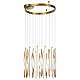 Подвесная люстра Odeon Light Spira L-Vision 5468/66L