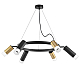 Подвесная люстра Lightstar Rullo (571016+214440-3+214487-3+202431-6) LR0164038731