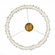 Подвесная люстра ST Luce Lucchero SL6105.203.01