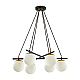 Подвесная люстра Lumion Moderni Randi 5212/6