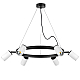 Подвесная люстра Lightstar Rullo (571016+214436-6) LR016366
