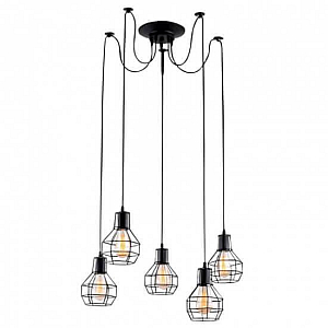 Подвесная люстра Arte Lamp A1109SP-5BK