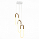 Подвесная светодиодная люстра ST Luce Mofisto SL1579.303.03