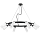 Подвесная люстра Lightstar Rullo (571018+214436-4+214486-4+202431-8) LR0188643641