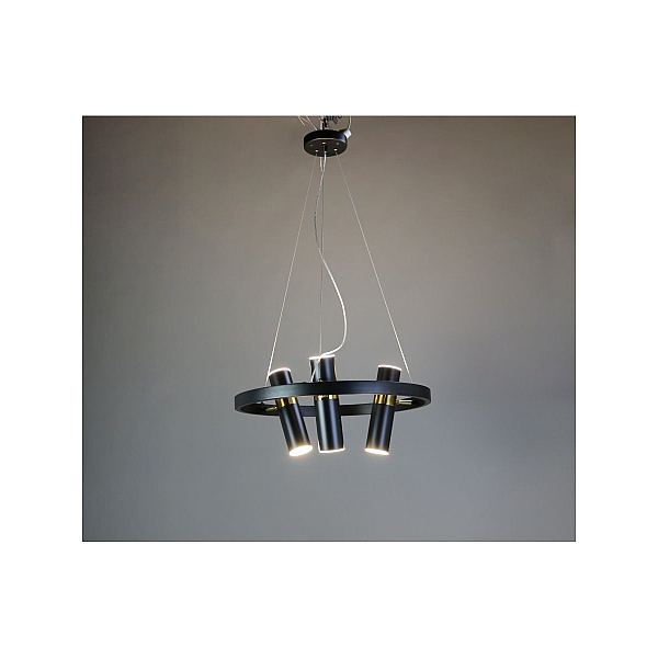 Подвесная люстра Zortes Tweeny ZRS.1828.50