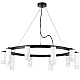 Подвесная люстра Lightstar Rullo (571020+214436-5+214486-5+202431-10) LR0203658651