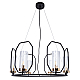Подвесная люстра Arte Lamp Celaeno A7004SP-6BK