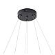 Подвесная светодиодная люстра Zortes RINGOLIGHT ZRS.33321.63C
