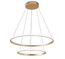 Подвесная люстра Zortes Ringolight ZRS.33320.63C