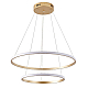 Подвесная светодиодная люстра Zortes RINGOLIGHT ZRS.33320.63C