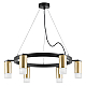 Подвесная люстра Lightstar Rullo (571016+214440-6+202431-6) LR0164061