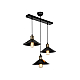 Подвесная люстра Toplight Delilah TL1606H-03BK