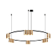 Подвесная люстра Denkirs Orbit DK4067-BK+SG