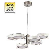 Подвесная люстра Odeon Light L-Vision Rivera 5451/99L