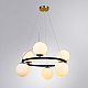 Подвесная люстра Arte Lamp Alcor A2224SP-6BK