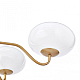 Подвесная люстра Arte Milano Napoli 310166/D780/6 BS/WD