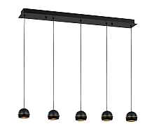 Подвесная люстра DeLight Collection MD21001034-5B black/gold