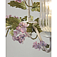 Подвесная люстра Abrasax Suzanne SD0957/5