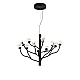 Подвесная люстра Delight Collection P0550-12A black