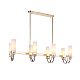 Подвесная люстра ST Luce Elegra SL1402.263.08