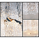 Подвесная люстра Delight Collection BRCH9094-60 gold