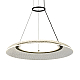 Подвесная люстра Delight Collection OD2501-D60 gold/black