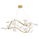 Подвесная люстра Crystal Lux Colibri SP6 Gold